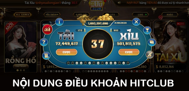 Điều khoản về truy cập & sử dụng dịch vụ